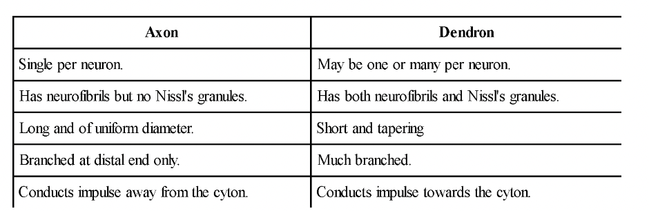 Nervous Tissue